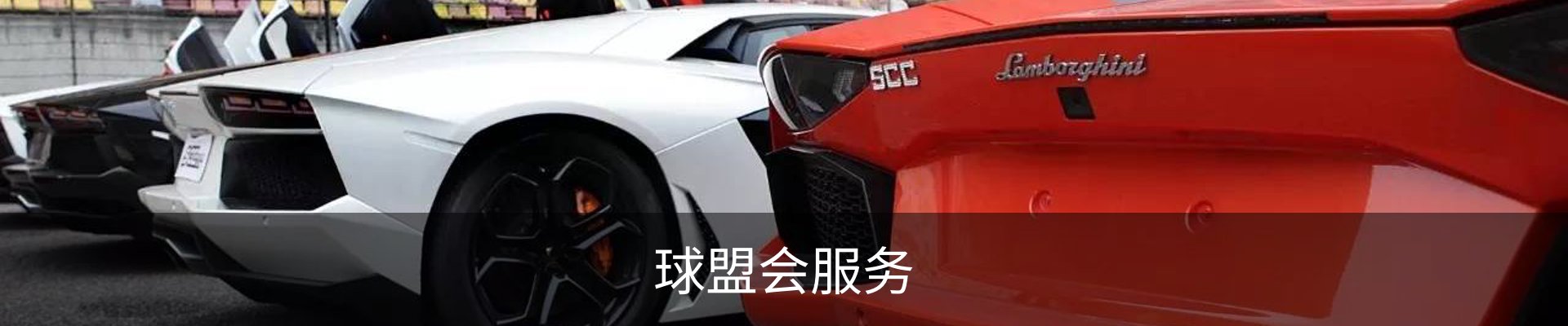 球盟会服务